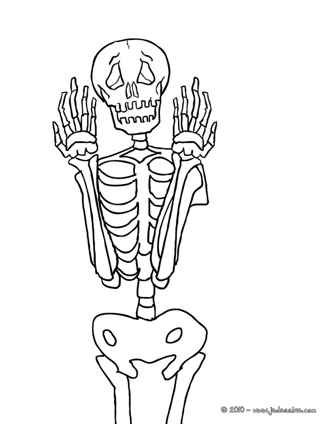 Coloriage d'un squelette dans une pose dynamique sur fond simple Coloriage d'un squelette dans une pose dynamique sur fond simple
