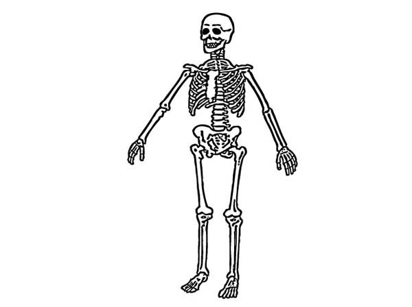 Coloriage d'un squelette dans une pose dynamique avec décor automnal