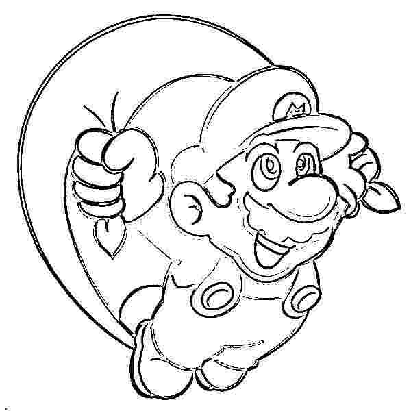 Super Mario et Luigi en pleine aventure dans un décor champêtre