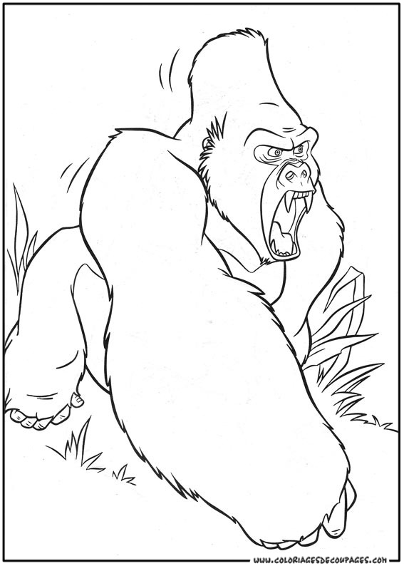 Tarzan en pleine interaction avec des animaux dans la jungle