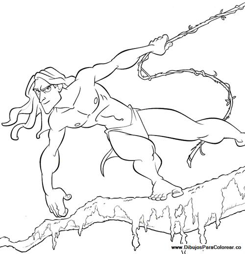 Tarzan et Jane au cœur de la jungle