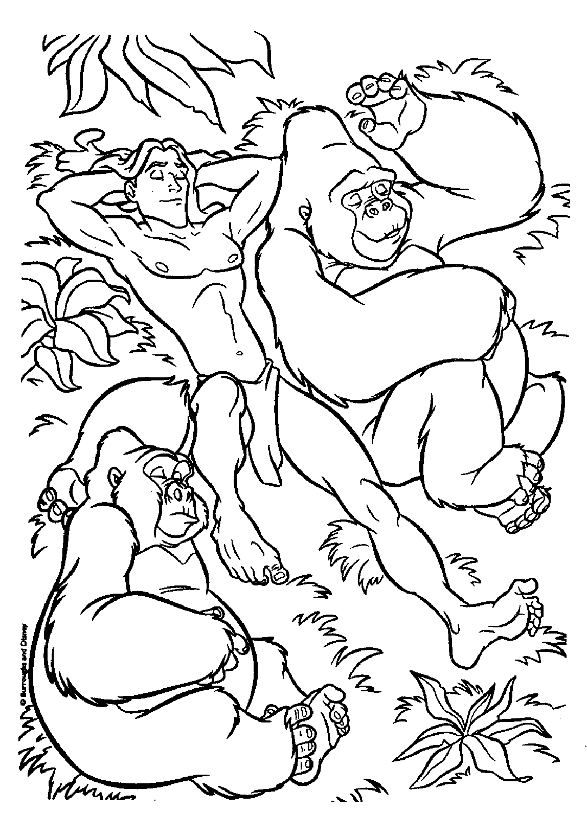 Tarzan en pleine interaction avec des animaux dans la jungle