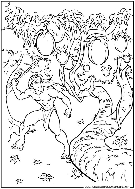 Tarzan en pleine action dans la jungle