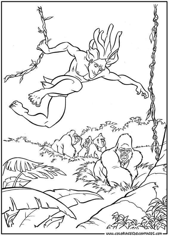 Tarzan et Jane au cœur de la jungle