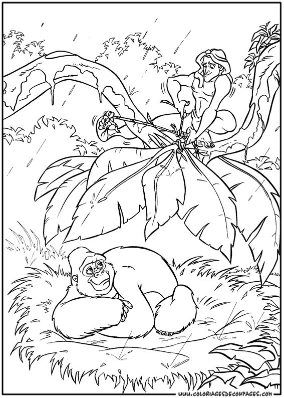 Tarzan en pleine action dans la jungle