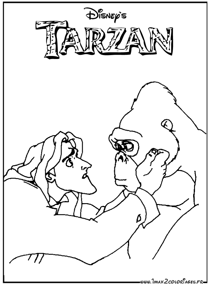 Tarzan en pleine interaction avec des animaux dans la jungle