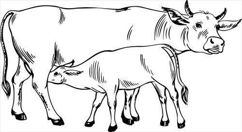Coloriage d'un taureau majestueux dans un décor naturel