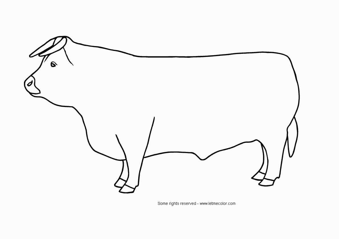 Coloriage d'un taureau majestueux dans un paysage simple
