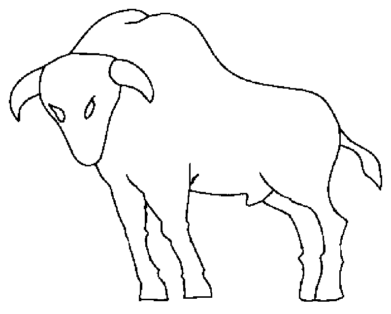Coloriage d'un taureau majestueux dans un décor naturel