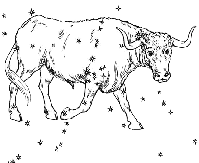 Coloriage d'un taureau majestueux dans un paysage pastoral