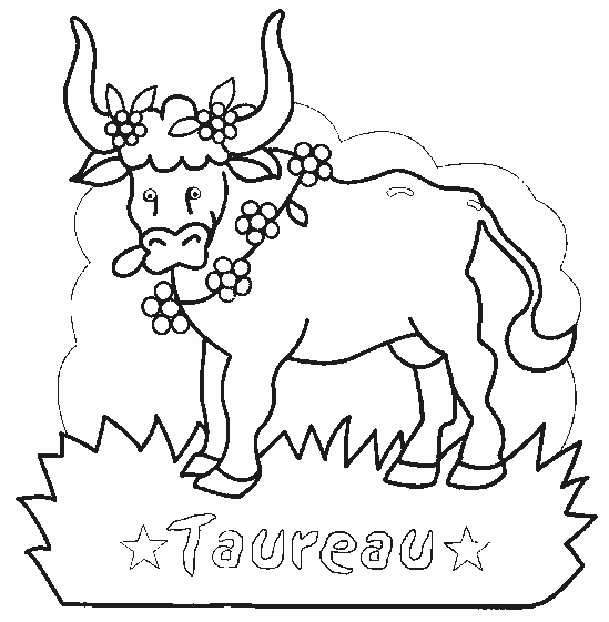 Coloriage de taureau majestueux dans un paysage naturel