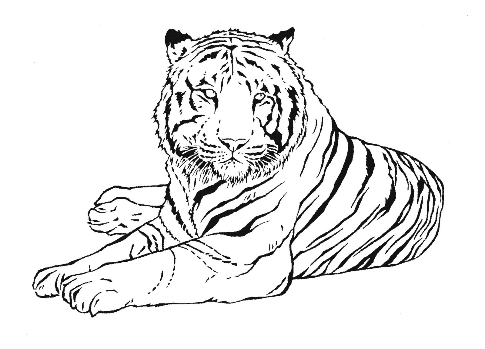 Un tigre majestueux en pleine contemplation dans son habitat naturel