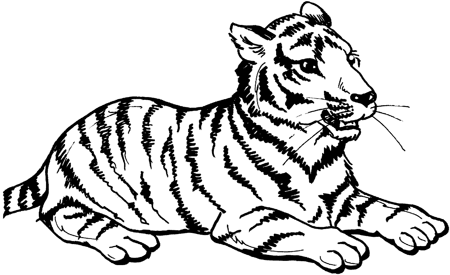 Coloriage d'un tigre majestueux dans son habitat naturel