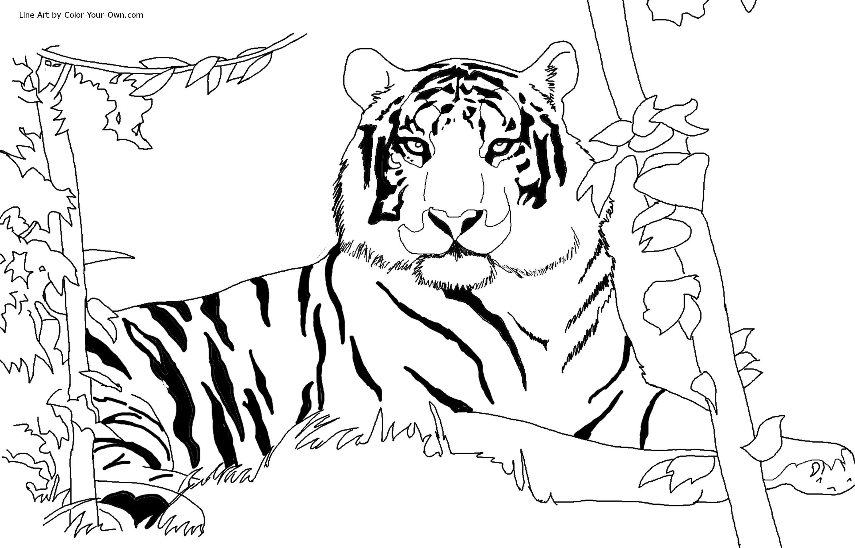 Un tigre majestueux se reposant dans son habitat naturel
