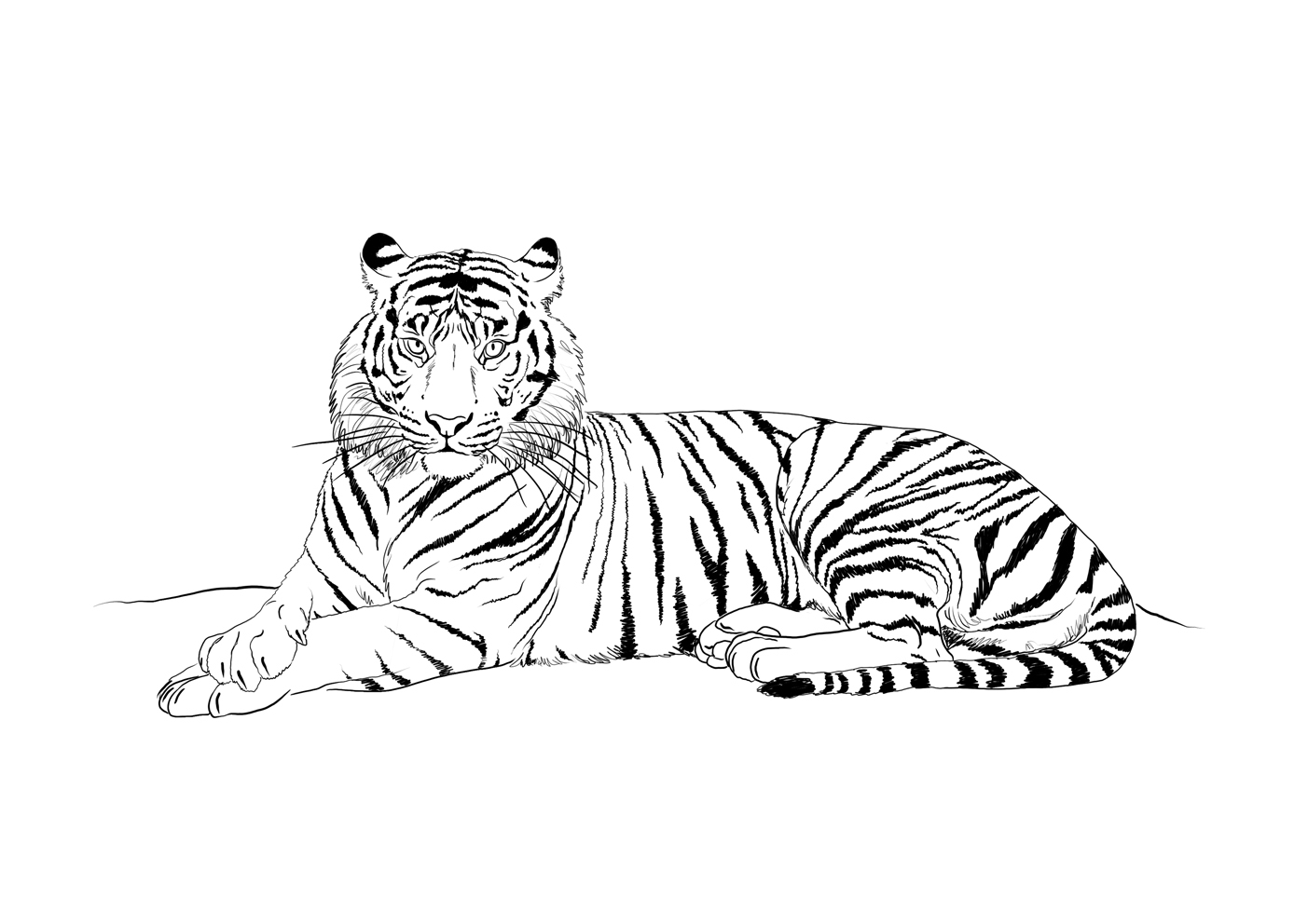 Un tigre majestueux se reposant dans la jungle