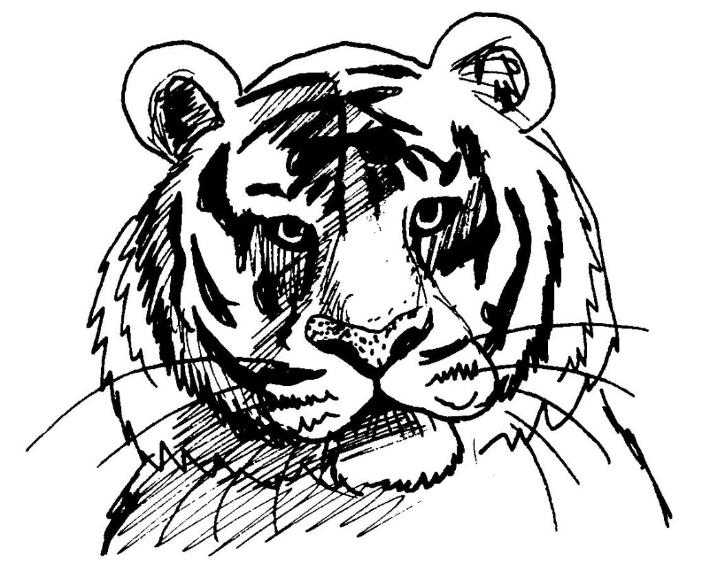 Tigre majestueux en pleine forêt