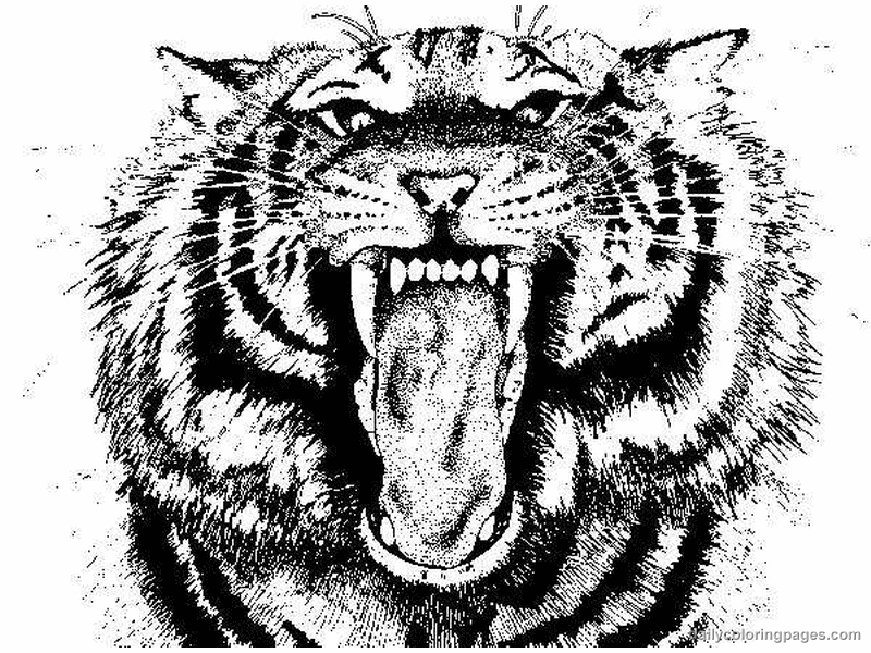 Un tigre majestueux se reposant dans la jungle