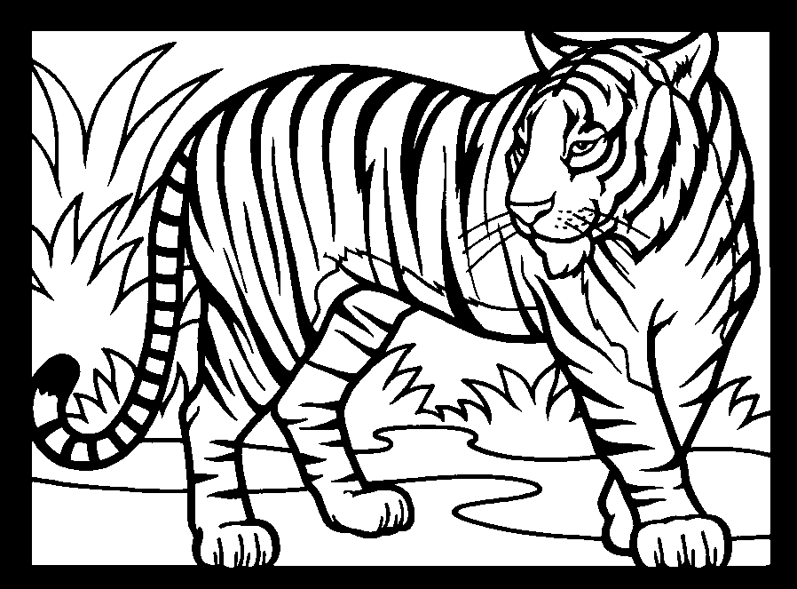 Un tigre majestueux dans la jungle, prêt à rugir