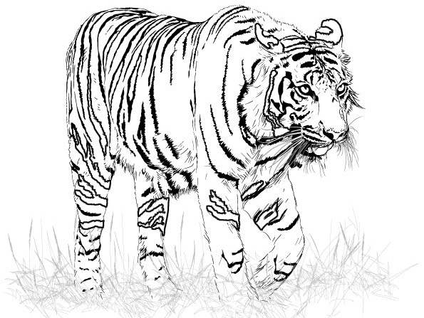 Un tigre majestueux se reposant dans la jungle