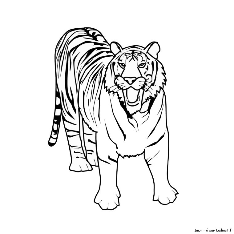 Un tigre majestueux se reposant dans la jungle