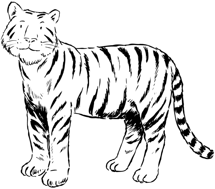 Un tigre majestueux en pleine contemplation dans son habitat naturel