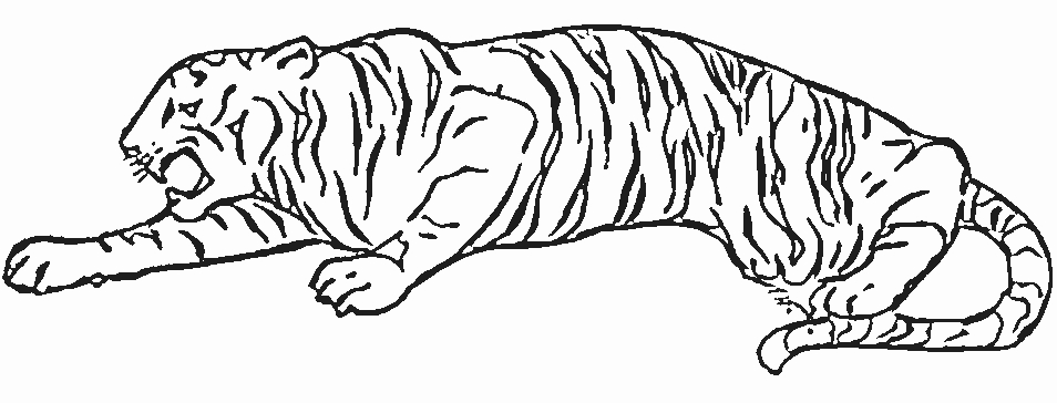 Tigre majestueux en pleine contemplation dans son milieu naturel