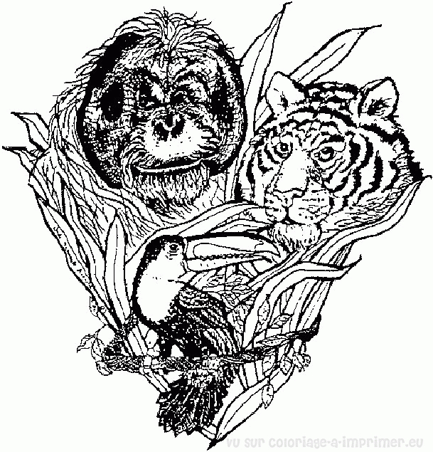 Un tigre majestueux se reposant au milieu de la jungle