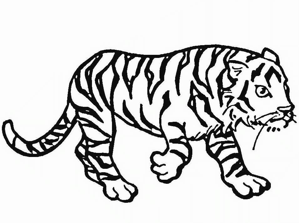 Un tigre majestueux se reposant dans la jungle