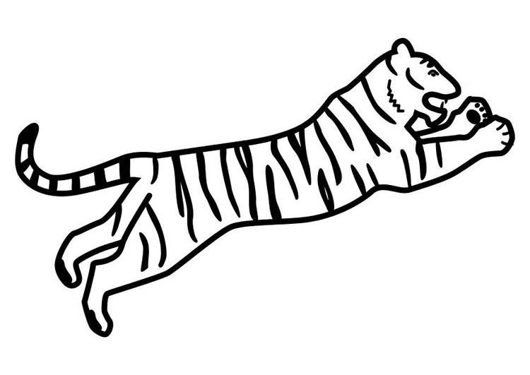 Un tigre majestueux dans la jungle