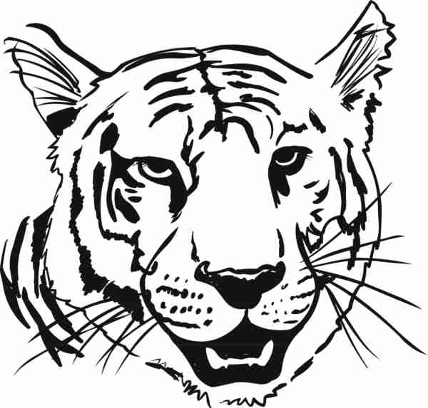 Un tigre majestueux se reposant dans la jungle