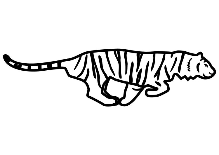 Coloriage d'un tigre en pleine course dans la jungle