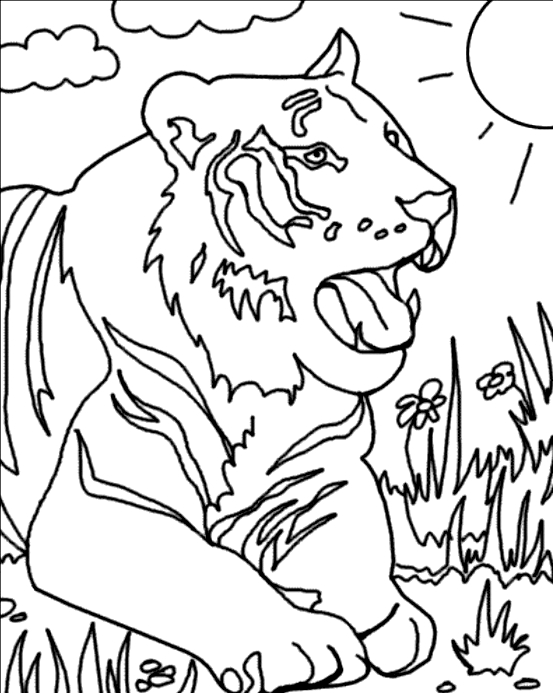 Coloriage d'un tigre majestueux en pleine nature