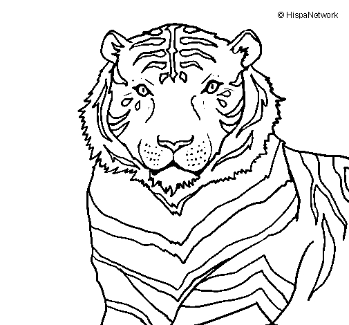 Un tigre majestueux se reposant dans la nature