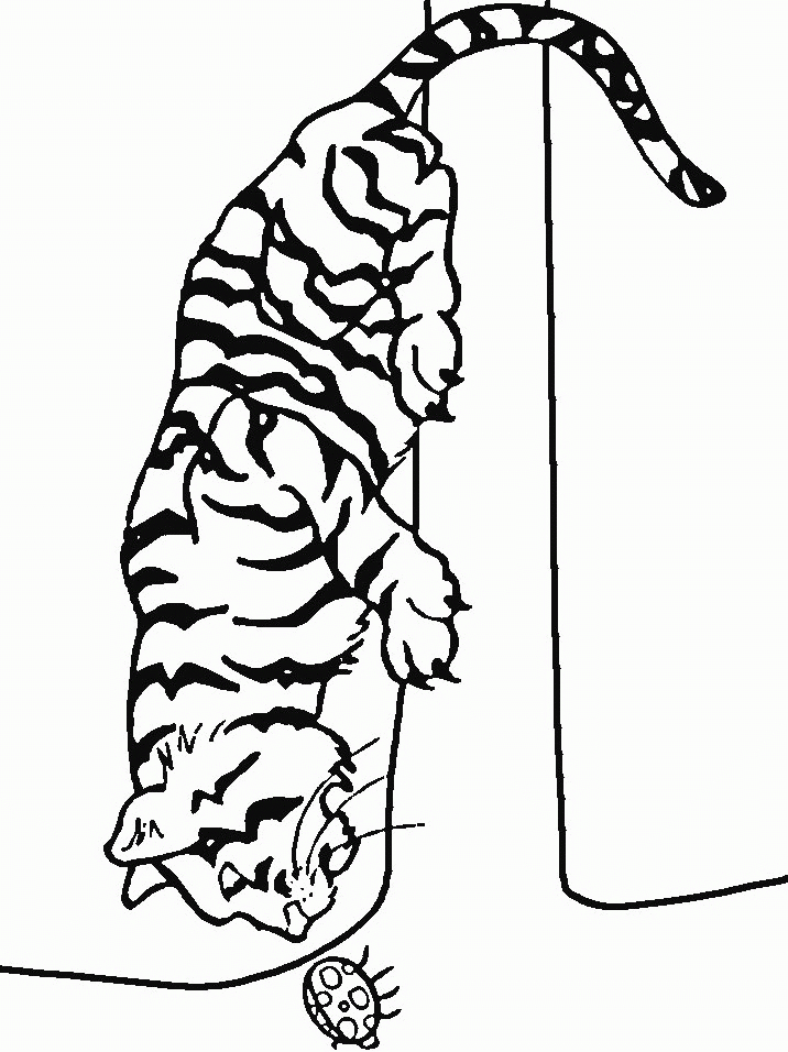 Tigre majestueux se reposant dans la jungle