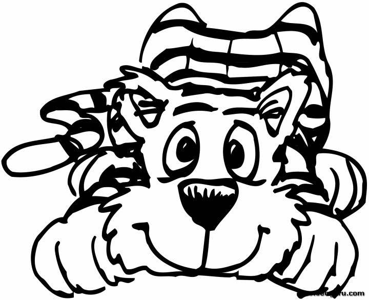 Coloriage d'un tigre majestueux se reposant dans son habitat naturel