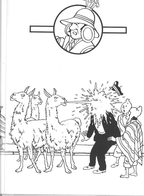 Tintin et Milou en pleine aventure sur le terrain de football