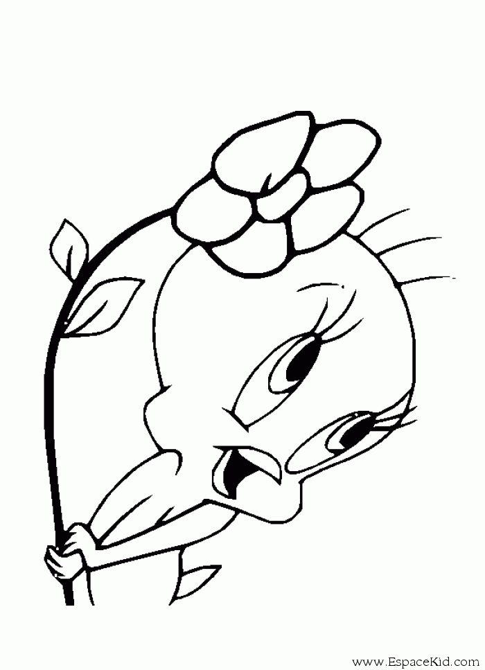 Titi et Grosminet en pleine aventure dans un décor animé