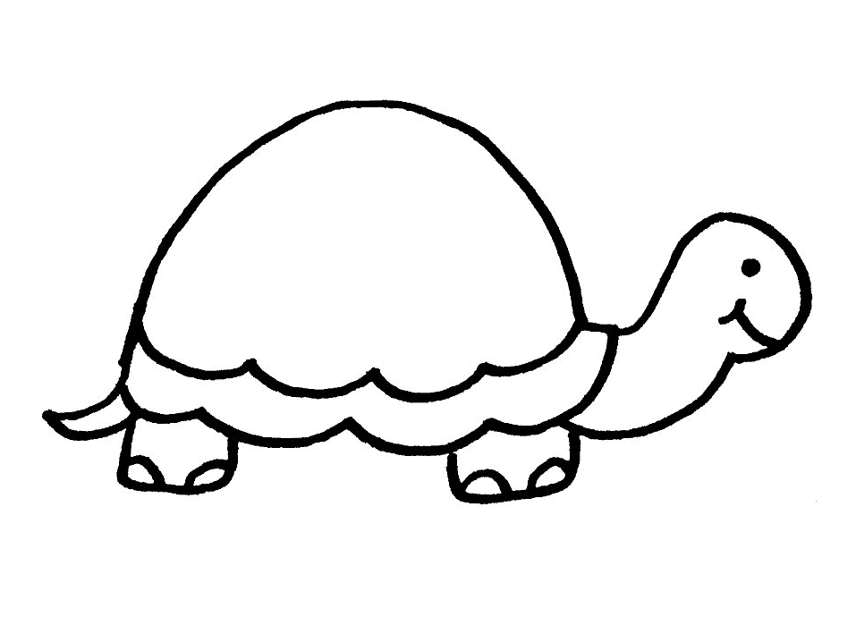 Coloriage d'une tortue évoluant sur un fond marin