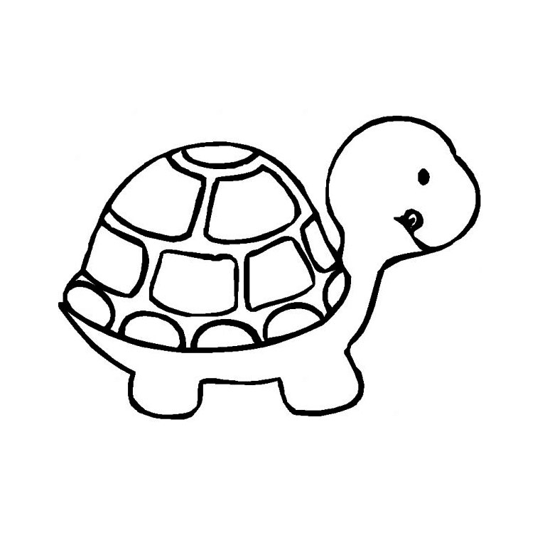Coloriage d'une tortue nageant paisiblement dans l'eau