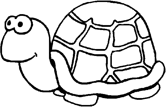 Tortue en pleine exploration sur fond marin