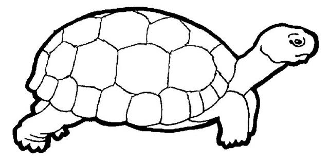 Coloriage d'une tortue sur la plage avec des vagues en arrière-plan Coloriage d'une tortue sur la plage avec des vagues en arrière-plan
