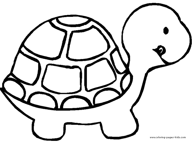 Coloriage d'une tortue se reposant sur une plage ensoleillée