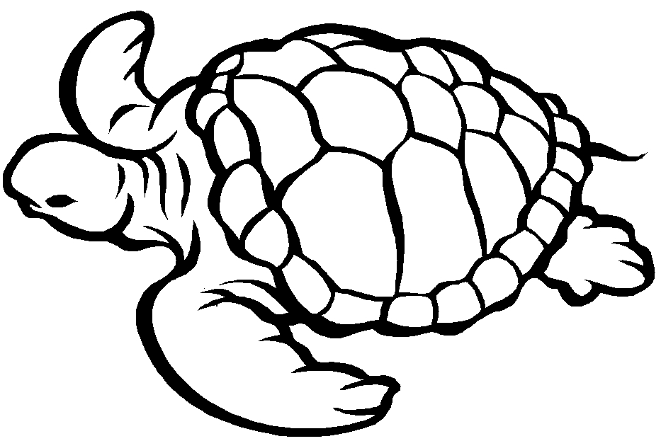Une tortue paisible nageant sous l’eau