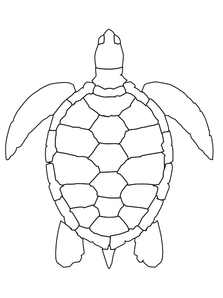 Une tortue souriante évoluant sur un fond aquatique