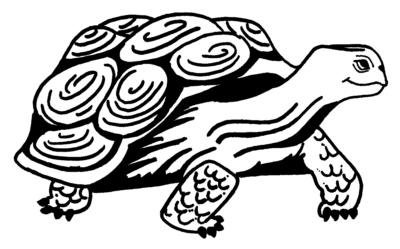 Coloriage d'une tortue sur un fond marin