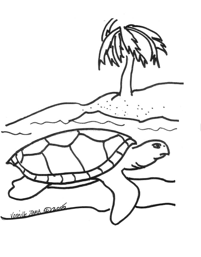 Coloriage d'une tortue évoluant dans son habitat marin