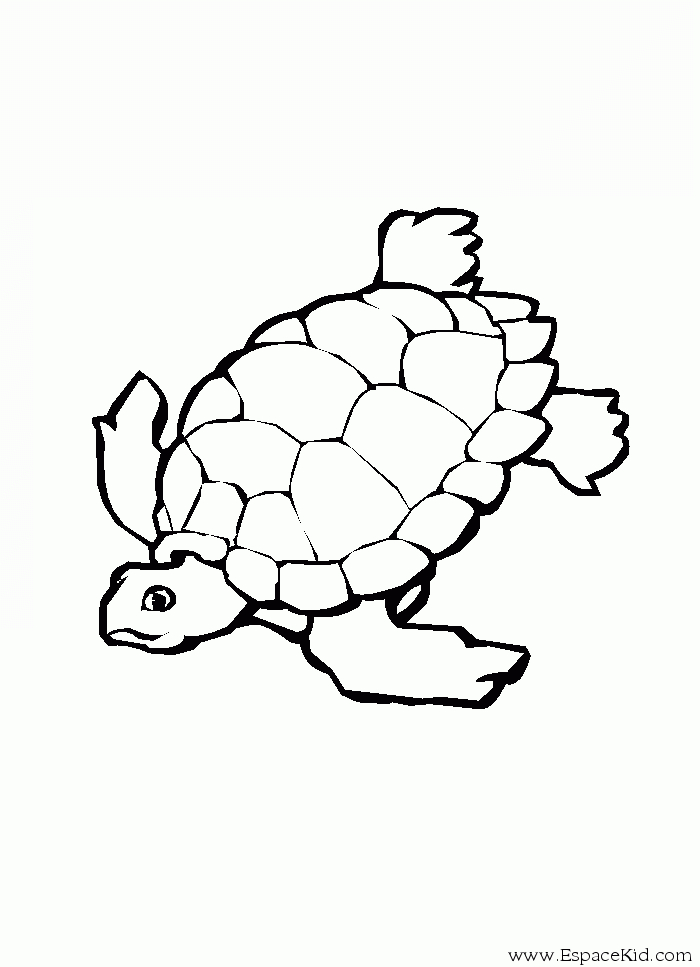 Coloriage d'une tortue se reposant sur une plage