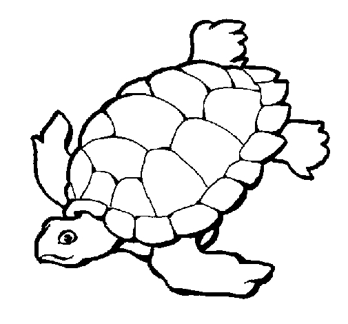 Coloriage d'une tortue nageant paisiblement dans l'eau