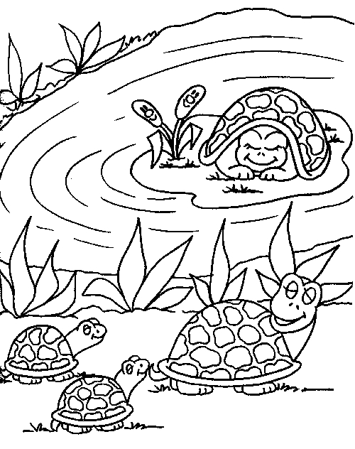 Coloriage d'une tortue dans son environnement naturel