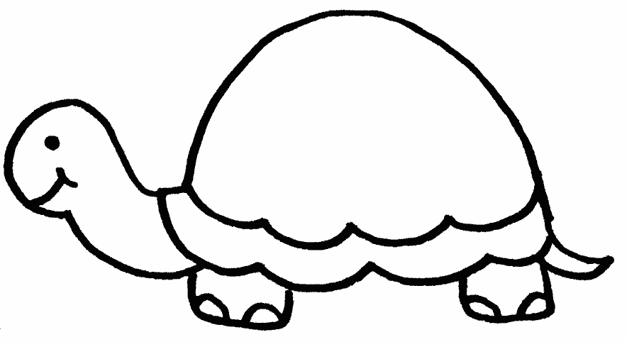Coloriage d'une tortue sur un fond aquatique